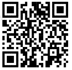 image-20250401110613-1.png